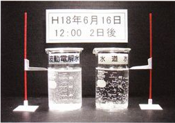H18年6月16日 2日後