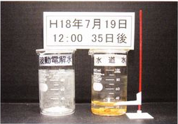 H18年7月19日 35日後