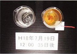 H18年7月19日 35日後(電解水素水)